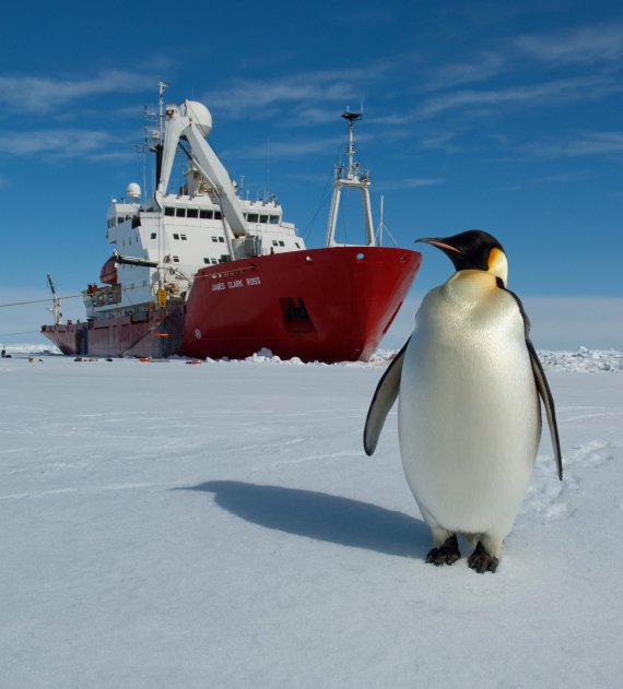 Украина приобрела ледокол для антарктических экспедиций. Украинцам предлагают приобщиться к выбору нового названия для судна. Фото: AntarcticCenter