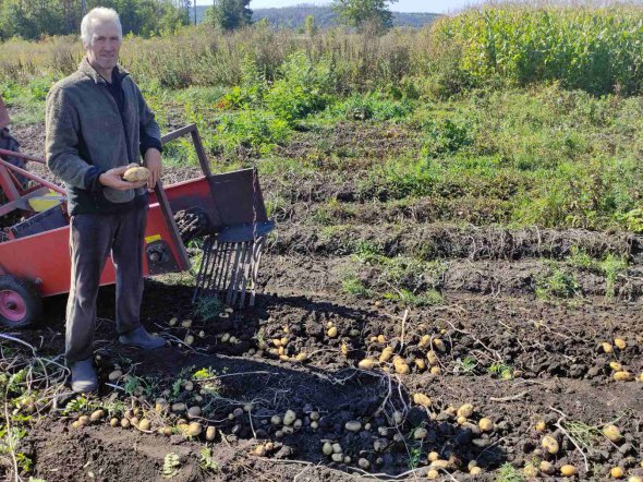 Фермер из Черкасской области Сергей Ищенко: "Картофель в этом году уродил более-менее нормально. По сравнению с предыдущим годом, то его больше на 20 процентов"