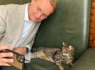 Садовый выложил фотографию с котом из горсовета Левчиком, который потерялся на несколько дней.