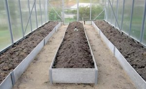Найдовше в теплиці служать грядки-ящики із плаского шиферу. Азбест не боїться вологи, не розпадається й не розки­сає. Для зміцнення його додатково вкривають акриловою фарбою
