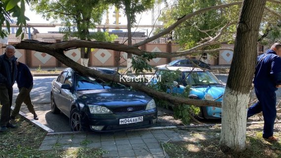 В Керчи ураган повалил деревья