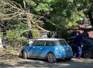 Во многих местах деревья повредили автомобили