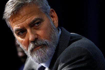Американский актер Джордж Клуни взял из приюта кокер-спаниеля