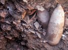 Розмір знахідки виявився несподіваним для археологів
