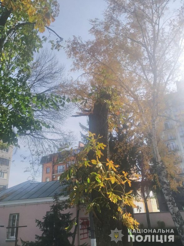 У причинах трагедії розбираються слідчі