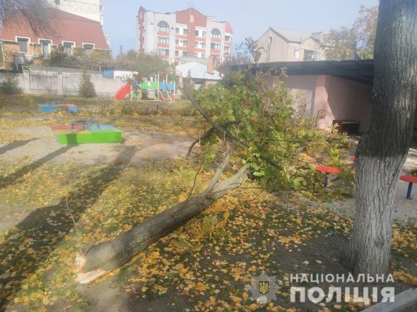 У Кременчуці в дитячому садку дерево рухнуло на 5-річного хлопчика і 4-річну дівчинку. Остання померла в реанімації