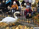 Львів'яни та гості міста масово приходять відпочити Стрийський парк