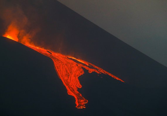 На острове Ла-Пальма вулканический пепел засыпал все вокруг
