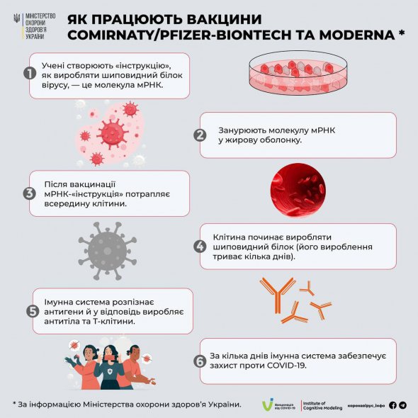 Вакцины Pfizer и Moderna имеют в составе молекулы матричной рибонуклеиновой кислоты