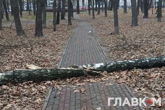 На минулих вихідних у Києві нагода повалила дерева