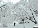 Во Львове несколько дней продолжается снегопад