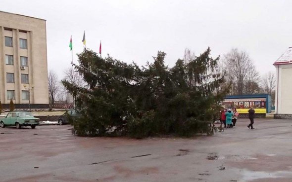 В Романове Житомирской области во время установки сломалась пополам новогодняя елка. В сельсовете теперь не знают, что делать, праздник испорчен