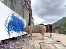 Свиня-живописець на ім'я Пігкассо 