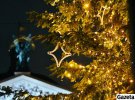 17-метрове новорічне дерево місту подарував мешканець села Оброшине Василь Козленко