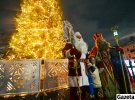 17-метрове новорічне дерево місту подарував мешканець села Оброшине Василь Козленко