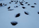 Метеорологи зафиксировали, что уровень снега возле станции "Академик Вернадский" составляет 2,75 м. Это самое большое значение за последние 20 лет. Фото: facebook.com/AntarcticCenter