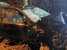 Автомобіль врізався у дерево