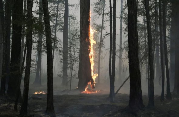Пожежа в Якутії, 11 серпня 