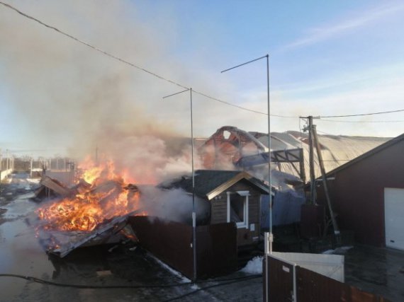 Під Києвом сталася масштабна пожежа на пилорамі. Фото: ДСНС