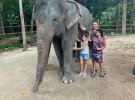 Нардеп Олександр Фельдман у Таїланді цікавився реабілітацією слонів.