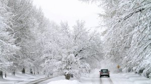 Розповіли, яку погоду чекати українцям в найближчі дні. Фото: ua.news