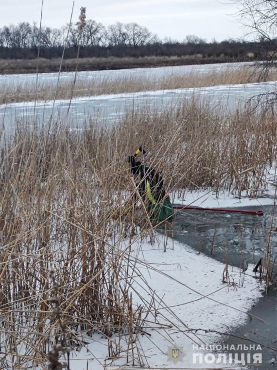 Один із підозрюваних у вбивстві дитини в Запорізькій області зізнався у скоєнні ще одного особливо тяжкого злочину