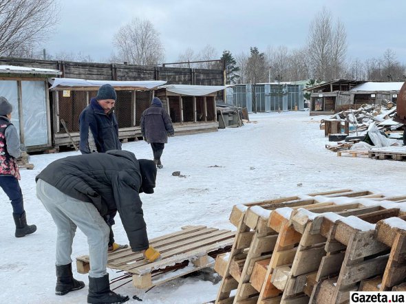 Робота у притулку для тварин "кипить" постійно