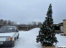 В приюте еще стоит елка - символ завершившихся новогодних праздников