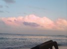 Блогерка Даша Квіткова, яку обрав герой реаліті "Холостяк-9" Нікіта Добринін, теж ділиться знімками в купальнику. Подружжя разом із сином Леоном відпочиває на Сейшельських островах
