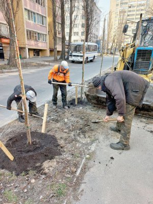 Комунальники садять дерева в Солом’янському районі столиці. Також у місті цілодобово працюють аварійні бригади, вивозять сміття