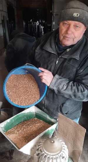 Микола Євтеєв переробляє на модернізованій крупорушці зерно з власного паю на борошно для випічки хліба в церкві