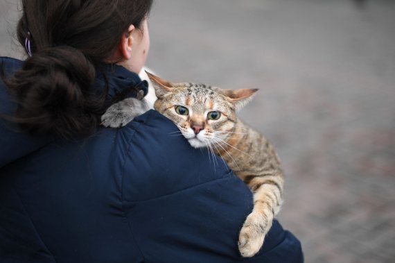 Женщина с котом на вокзале в Киеве
