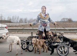 Зоозахисниця Анастасія Тиха до війни жила в Ірпені на Київщині. Коли місто окупували російські військові, вивела звідти собак, котів, хом’яка, хамелеона, черепаху та павука-птахоїда