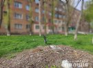 За минулу добу на Миколаївщині поранення отримали 10 людей