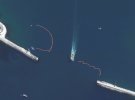 РФ тренирует морских млекопитающих для защиты военно-военного флота