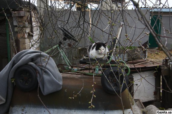 Поселок Большая Дымерка начинает оживать после оккупации. Российские военные вошли в населенный пункт 8 марта. Тогда же начались первые обстрелы по жилым кварталам