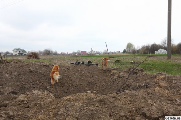 На дорогах и огородах образовались огромные ямы от снарядов и ракет. Деревья в садах выгорели, но кое-где из-под завалов прорастают весенние цветы