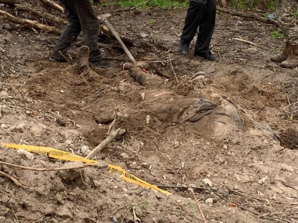 Ще одну могилу двох  мирних жителів знайшли у селі Калинівка Київської області