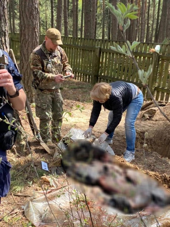 На Вишгородщині виявили тіла двох жорстоко вбитих чоловіків