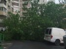 В Киеве сильный ветер вырывает деревья с корнями