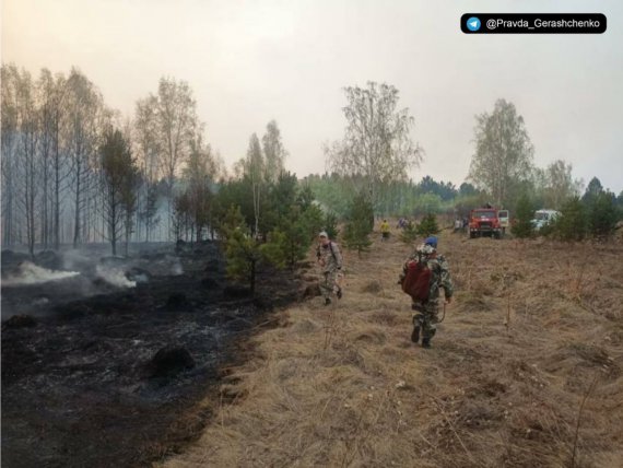 Негода в Росії: горить понад 2 тис. гектарів тайги