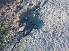 В Курской области обстреляли спиртзавод. Погиб водитель фуры