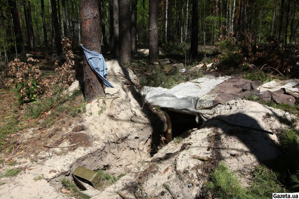 Для строительства блиндаджей россияне вырубывали местный лес
