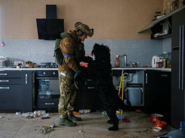 Украинский защитник и собака, оставшаяся без хозяев возле Киева.