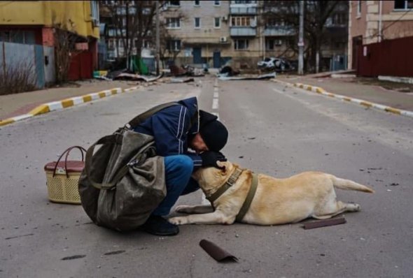 Мужчина успокаивает собаку, парализованную страхом, после бомбардировки в Ирпене