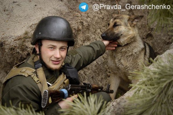 Во время боев на Киевском направлении нацгвардиец нашел себе верного друга