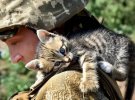Воїн ЗСУ з котом