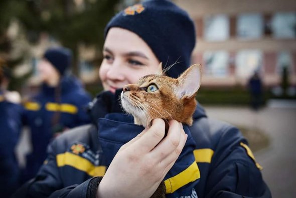 Працівники ДСНС із  котом Лео