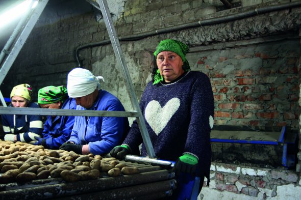 Жінки перебирають картоплю на посадку у складському приміщенні ферми. Перша праворуч – Інна Горлач. Коли росіяни окупували Лукашівку, ховалася в погребі.  З нею там були чотири жінки і троє дітей