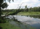 "Киевзеленстрой" создаст проект экопарка на Совских прудах